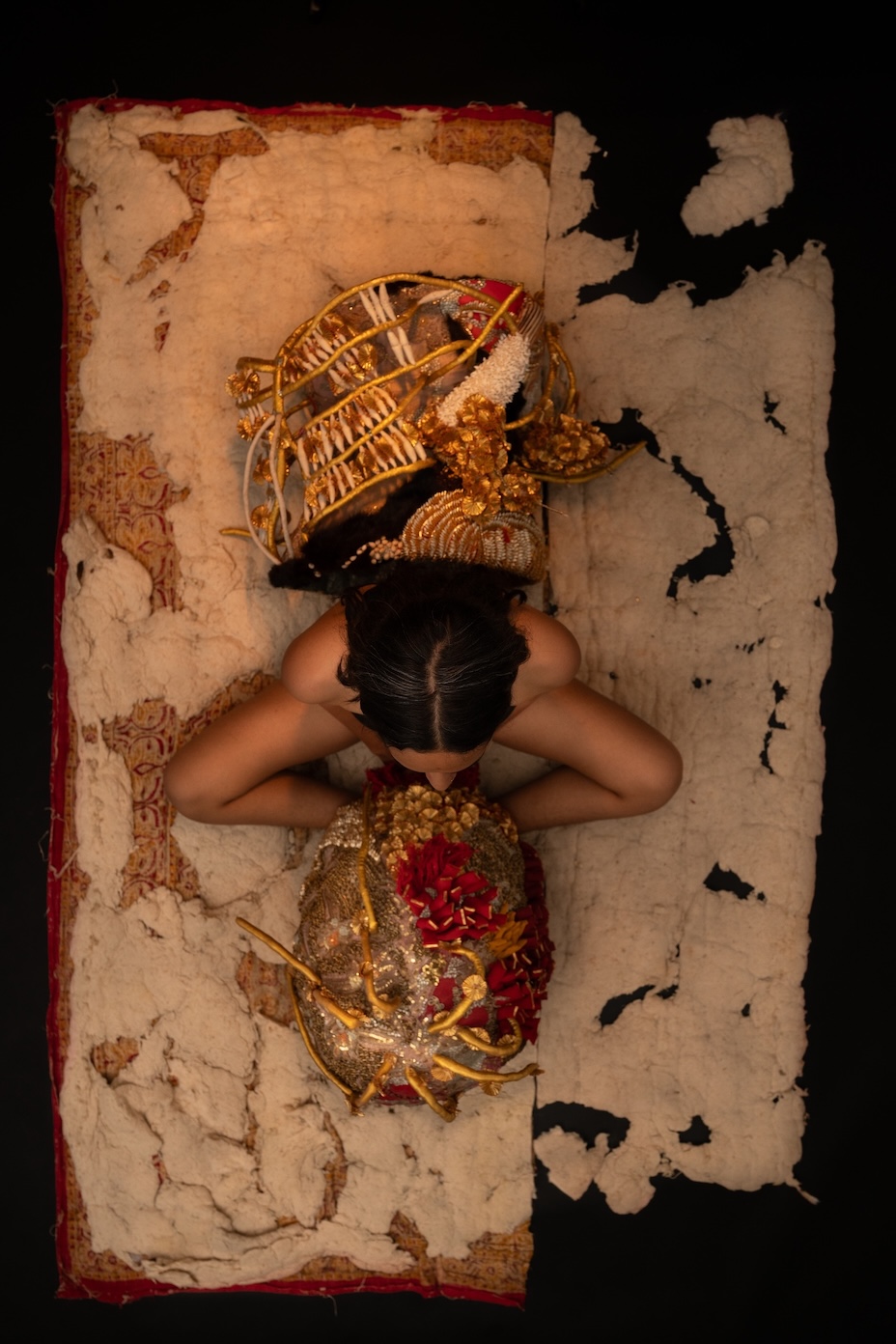Annanya Dhanda, IAF resident artist
